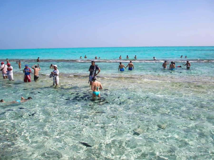 San Andres: Acuario Key Premium Tour - A closer look at the bay and departmental dock
