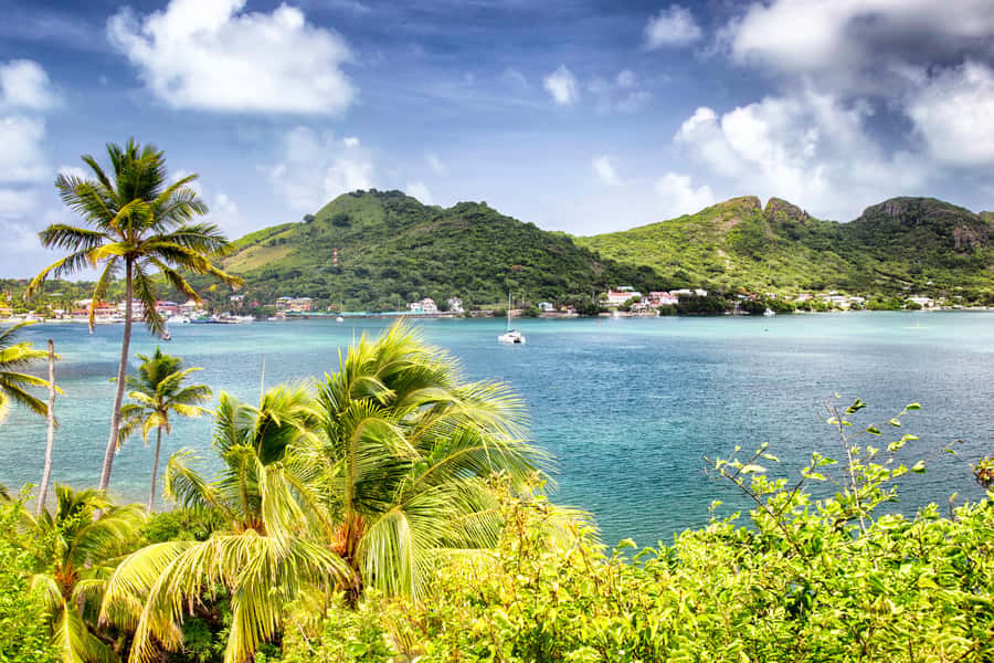 San Andrés: Guided Cays and Mangroves Tour - Johnny Cay, San Andrés’s classic Caribbean postcard