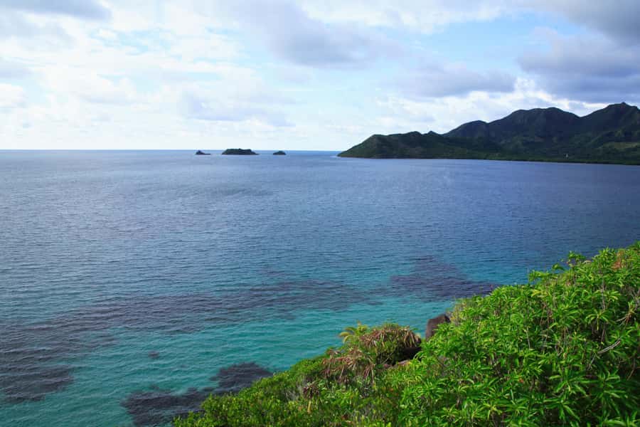San Andrés: Guided Cays and Mangroves Tour - Charquitos Beach and Mirador de la Loma