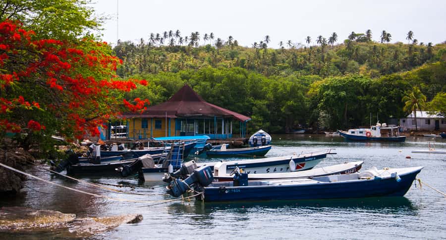 San Andrés: Guided Cays and Mangroves Tour - Who will enjoy this San Andrés outing