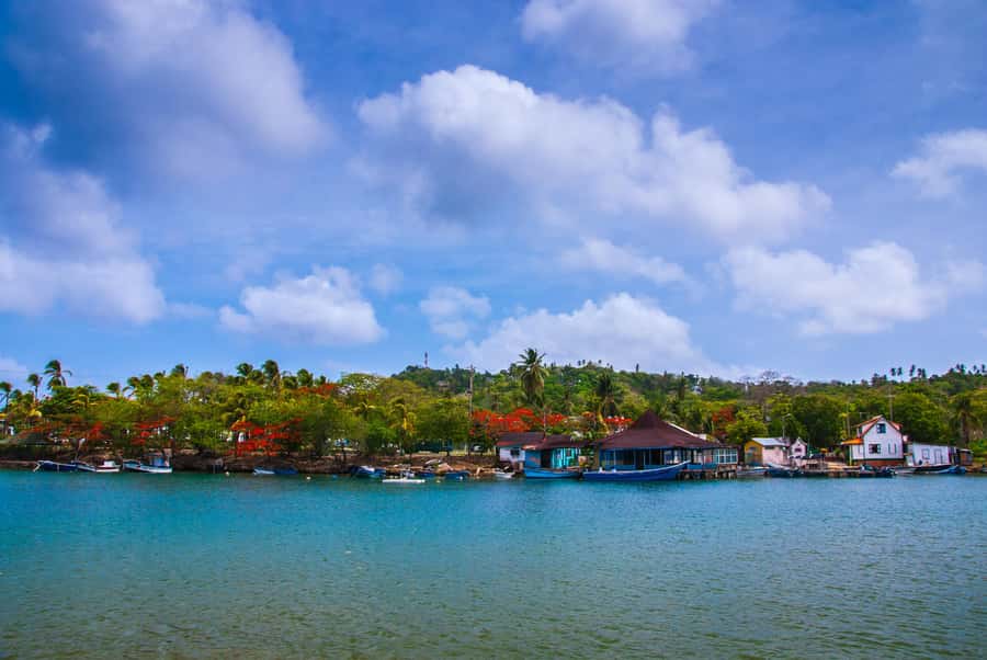 San Andrés: Guided Cays and Mangroves Tour - Old Point mangroves bring a quieter finish