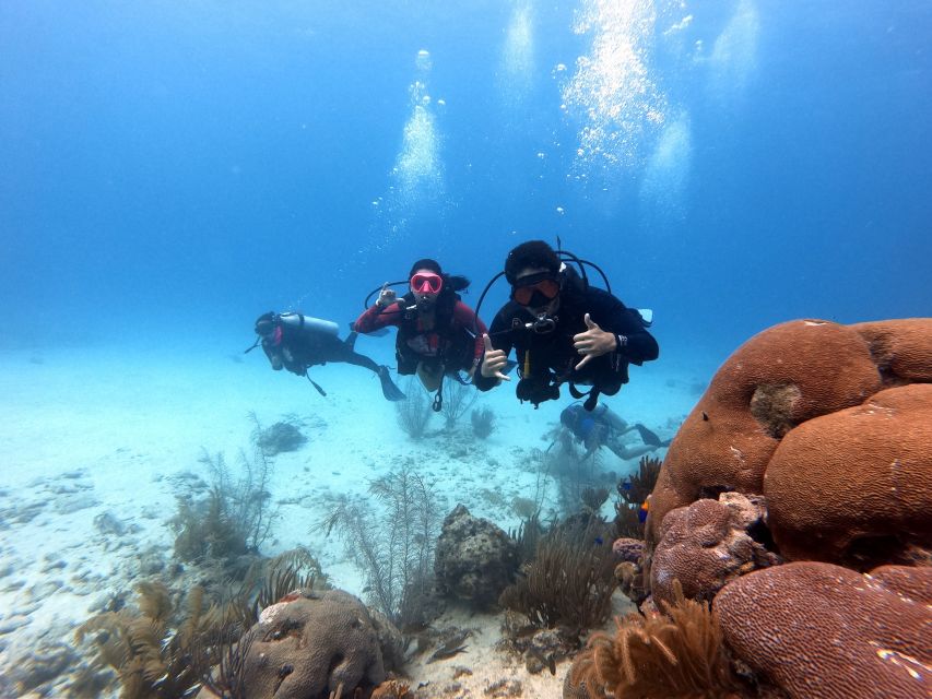 San Andres: Scuba Diving Experience with Hotel Pickup - Should you book it?