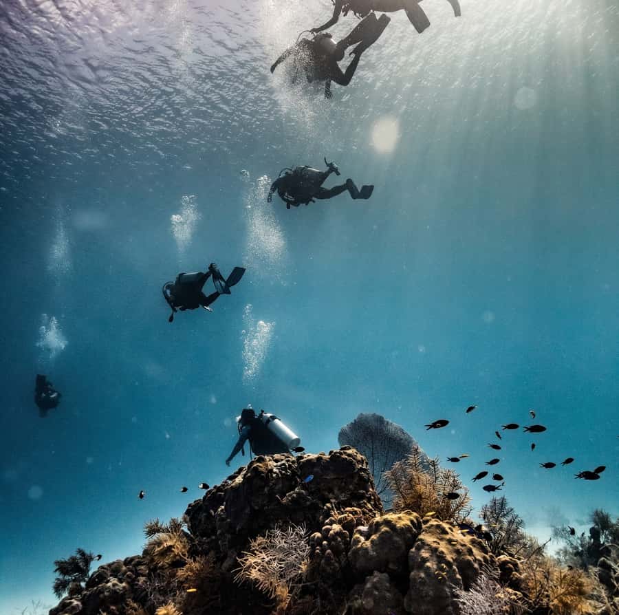 San Andres: Scuba Diving Experience with Hotel Pickup - Why Big Mamá is worth your morning