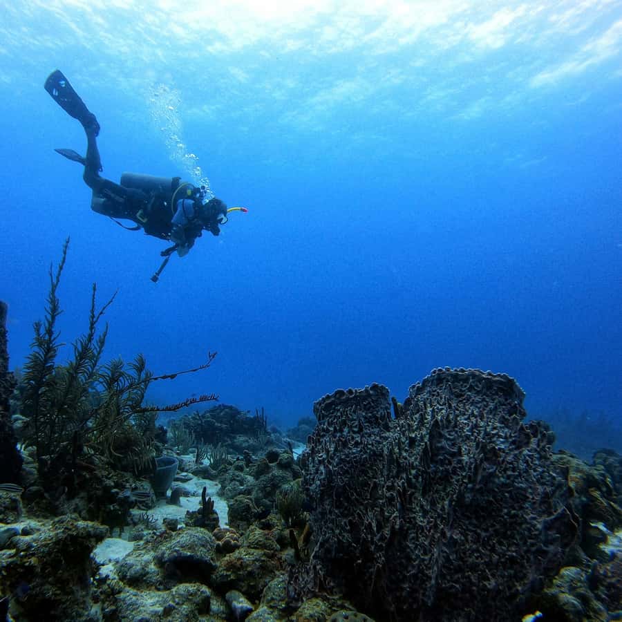 San Andres: Scuba Diving Experience with Hotel Pickup - What the equipment lesson really means for beginners