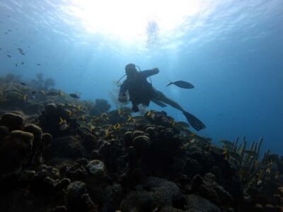 San Andres: Scuba Diving Experience with Hotel Pickup