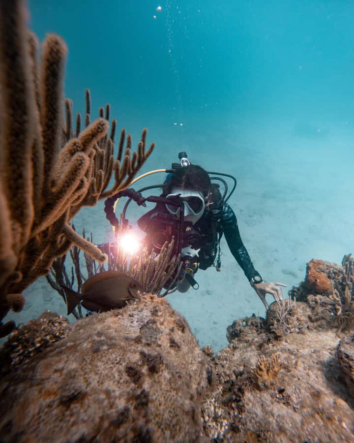 San Andres: Scuba Diving Experience with Hotel Pickup - Reaching the southwest coast and Big Mamá