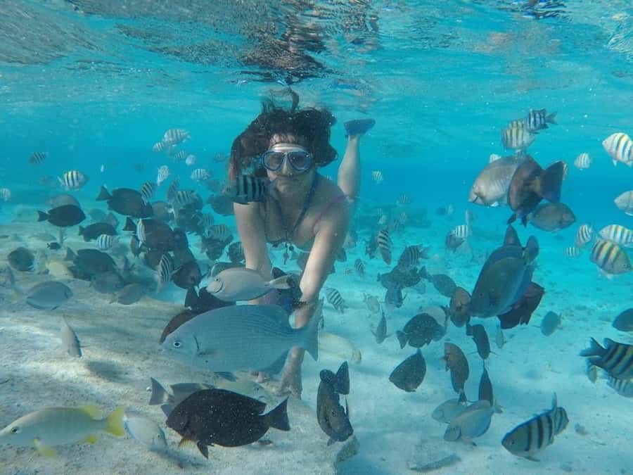 San Andres: Transfer by Boat + Natural Aquarium - Starting at Muelle de la Policía or Muelle Portofino