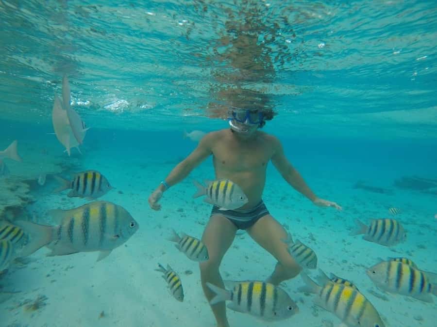 San Andres: Transfer by Boat + Natural Aquarium - What you will not see: the coral reefs