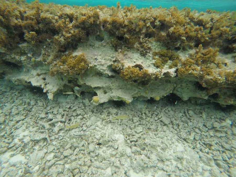 San Andres: Transfer by Boat + Natural Aquarium - The return trip and where the weak spots appear