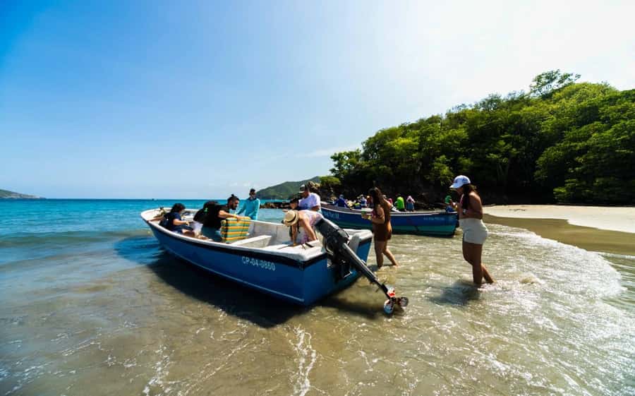 Santa Marta and Tayrona Park Day Trip - The guide and the language question