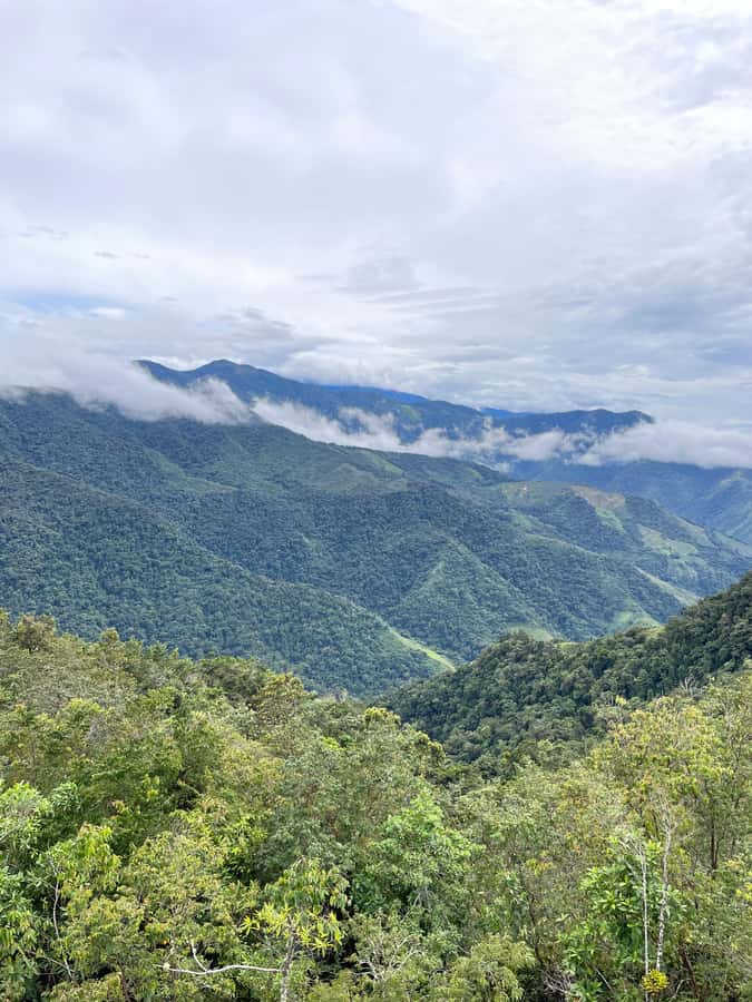 Santa Marta: Minca Coffee, Cocoa, & Waterfall Full-Day Trip - Swimming in the Minca River Pools