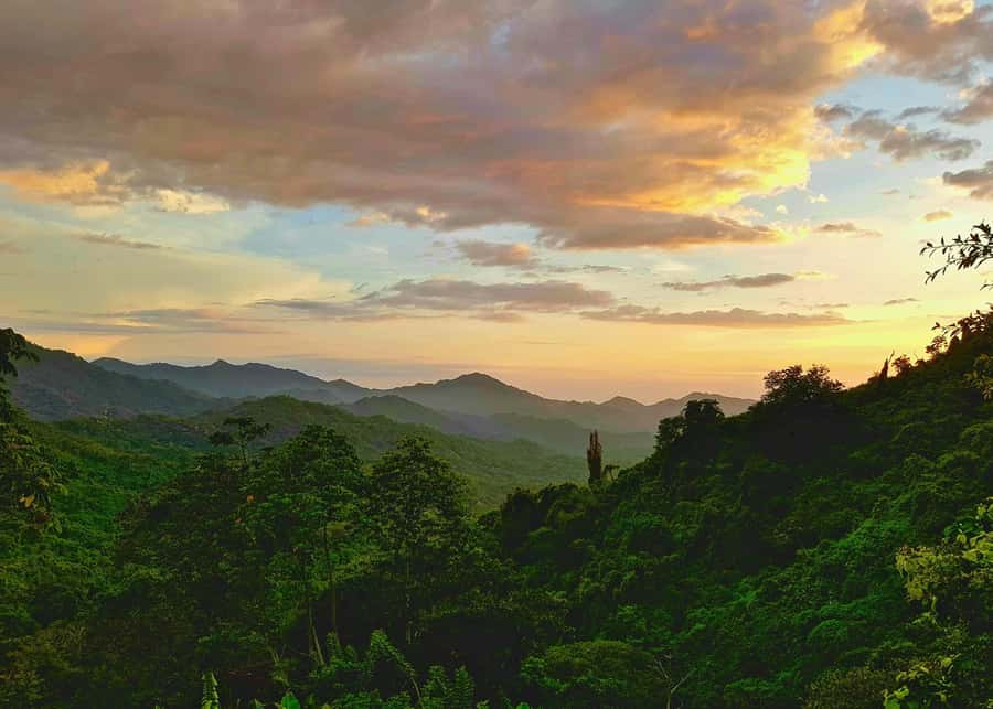 Santa Marta: Minca Coffee, Cocoa, & Waterfall Full-Day Trip - Making Chocolate From Local Cocoa