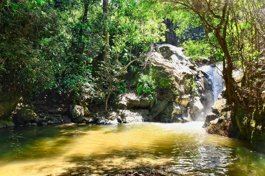 Santa Marta: Minca Coffee, Cocoa, & Waterfall Full-Day Trip - The Guide Can Make or Break the Day