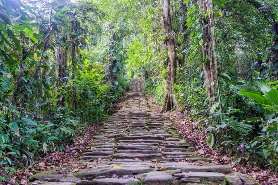 Santa Marta: Multi-Day Trek to The Lost City - Key points to know before you go