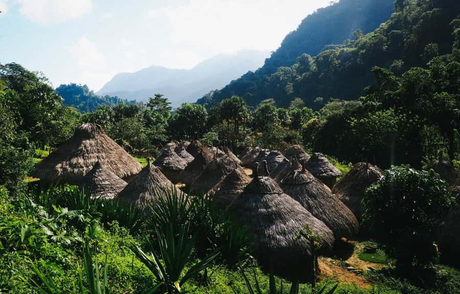 Santa Marta: Multi-Day Trek to The Lost City - Day three: Rivers, jungle life, and the approach