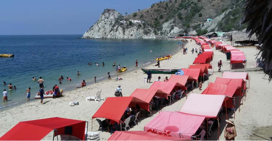 Santa Marta: Museum of the Sea and Playa Blanca Beach Tour - A full day built around two very different stops