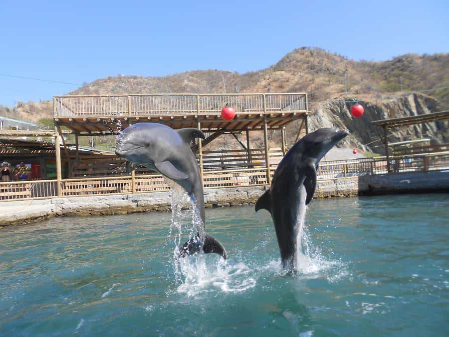 Santa Marta: Museum of the Sea and Playa Blanca Beach Tour - The boat ride to Playa Blanca