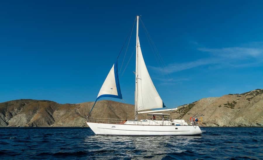 Santa Marta: Sailing Tour to Tayrona Park with Luis' Team - Passing Aguja Island, Tayrona’s only island