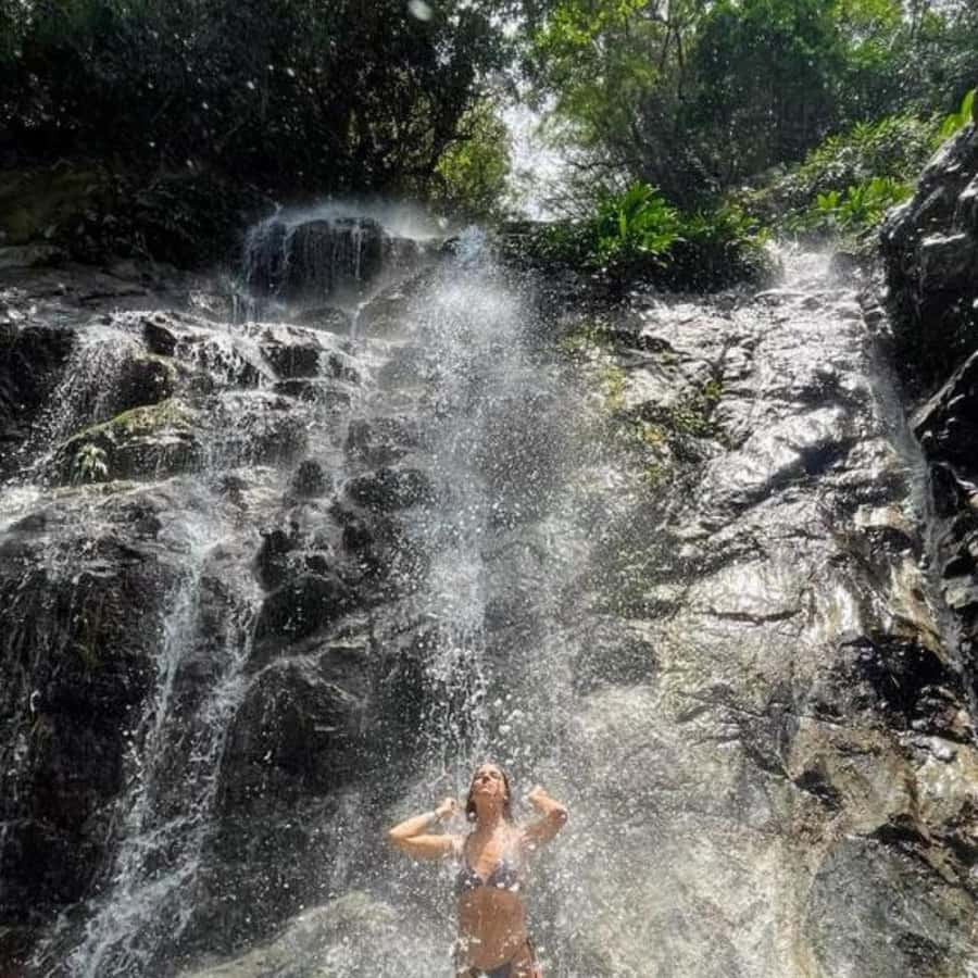 Santa Marta: Trekking in Minca Complete Waterfall Circuit - Along ancestral and ecological trails