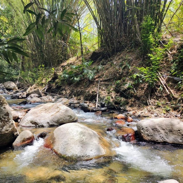 Santa Marta: Trekking in Minca Complete Waterfall Circuit - Viewpoints and the return toward Minca