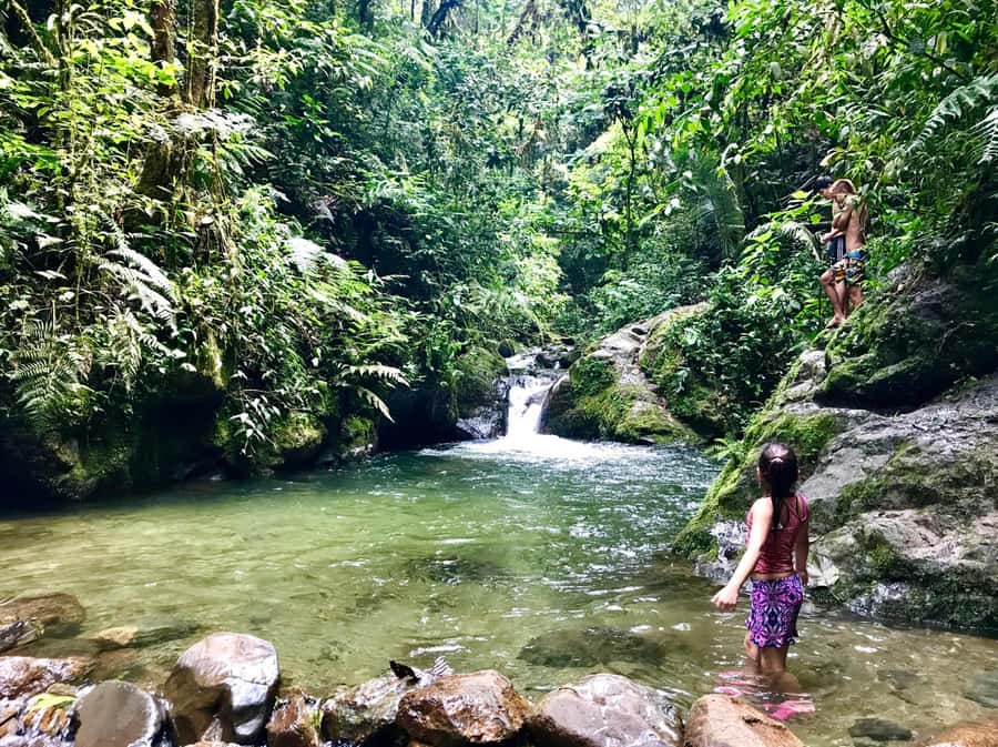 Santa Rita Waterfall and Salento Private Tour - Key points at a glance