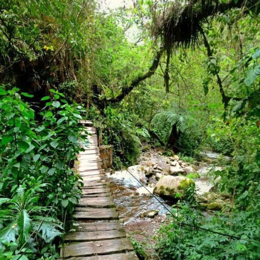 Santa Rita Waterfall and Salento Private Tour - FAQ