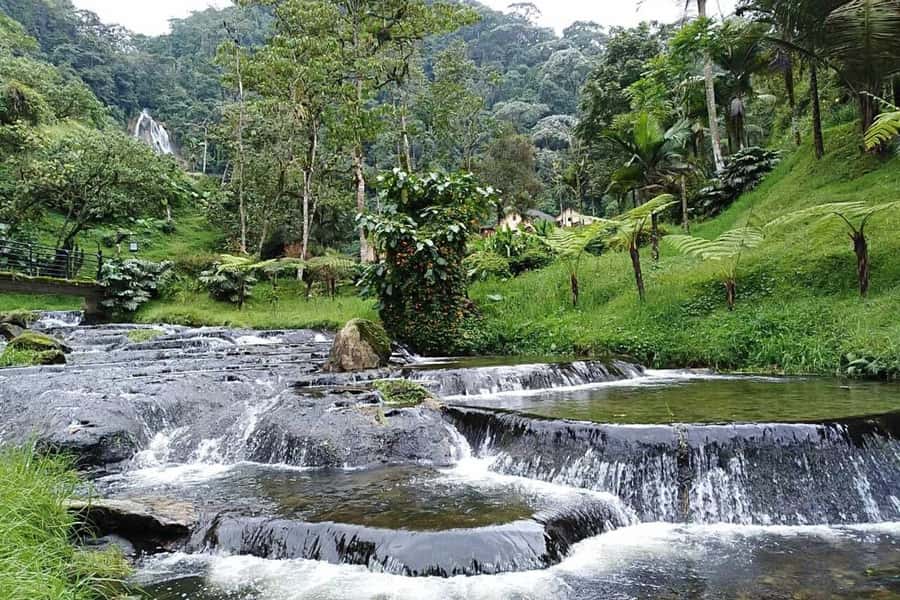 Santa Rosa de Cabal Thermal Hot Springs - Who will enjoy this outing most?