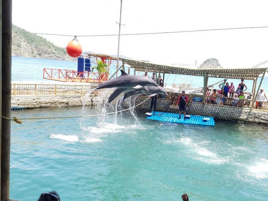 SANTAMARTA: TOUR Combo boat taxi, aquarium, lunch, and white sand beach - Key points to know before booking
