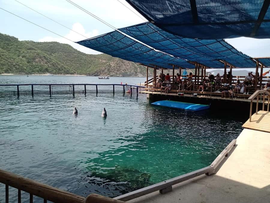 SANTAMARTA: TOUR Combo boat taxi, aquarium, lunch, and white sand beach - What $75 buys you in Santa Marta