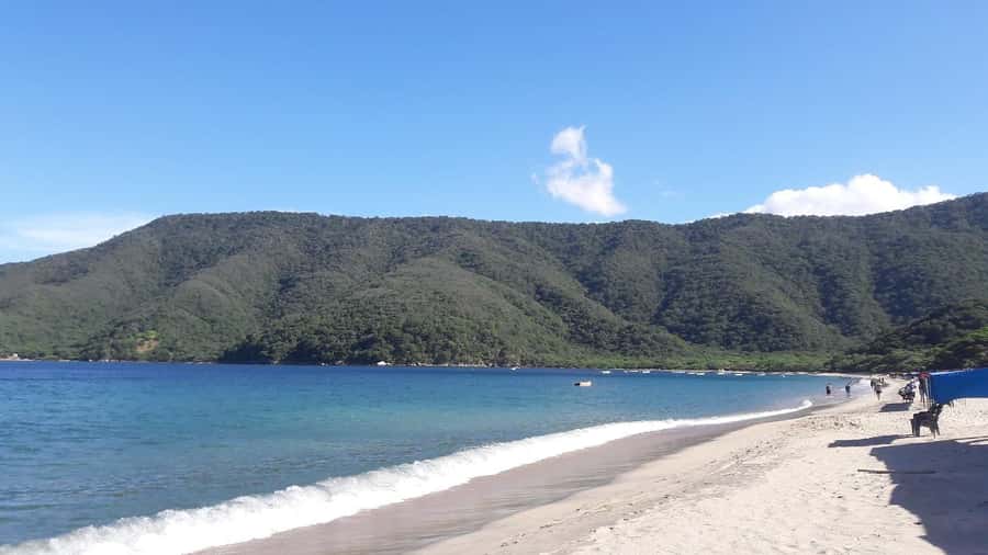 SANTAMARTA: TOUR Combo boat taxi, aquarium, lunch, and white sand beach - Booking tips that prevent a rough start