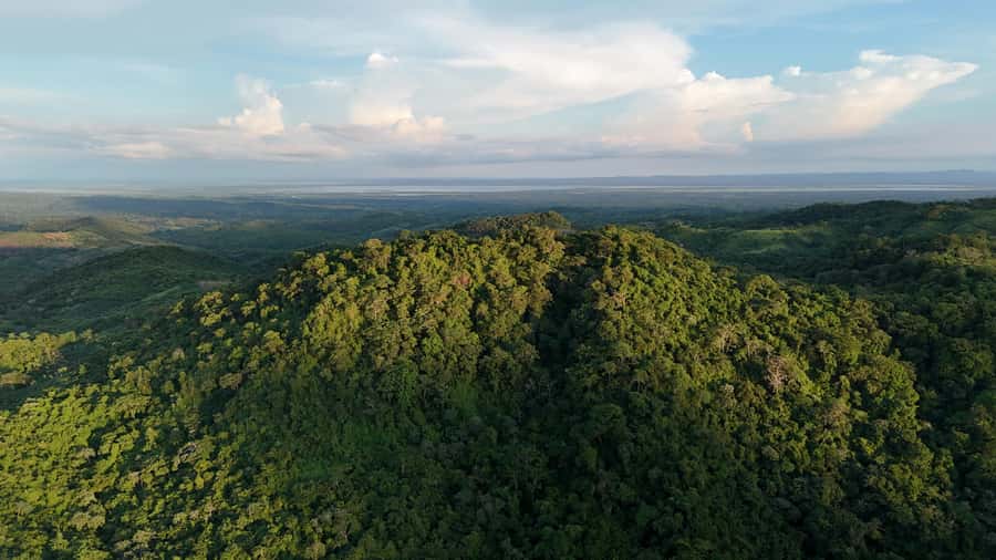 Scenic Horseback Ride in Tropical Mountain Reserve - Why this reserve makes a better day trip than a standard trail ride