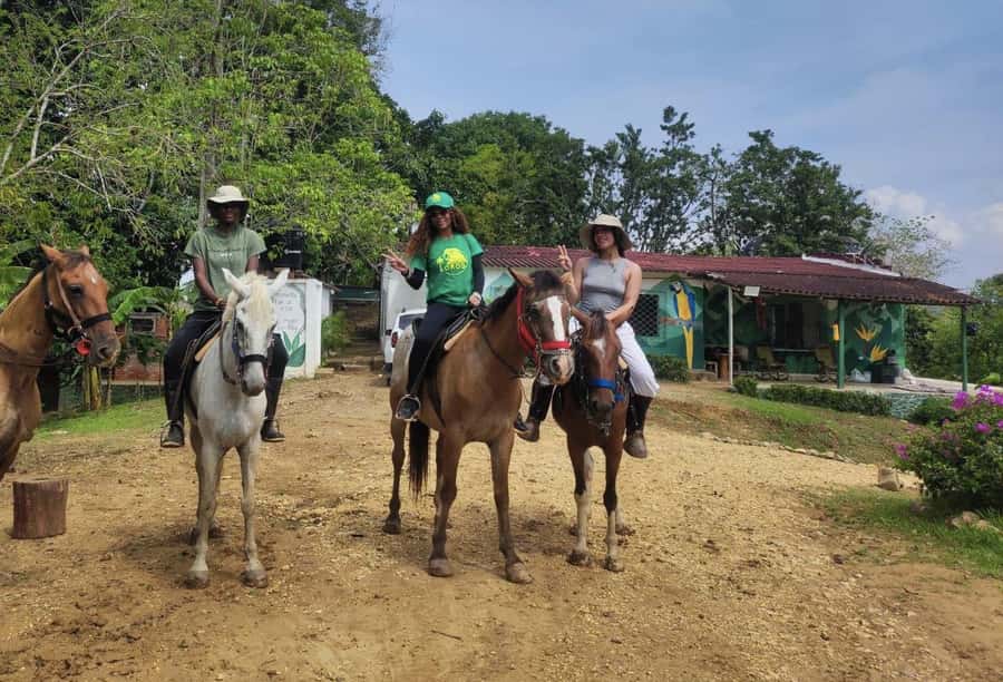 Scenic Horseback Ride in Tropical Mountain Reserve - A 15-kilometer ride through dry forest and mountain trails