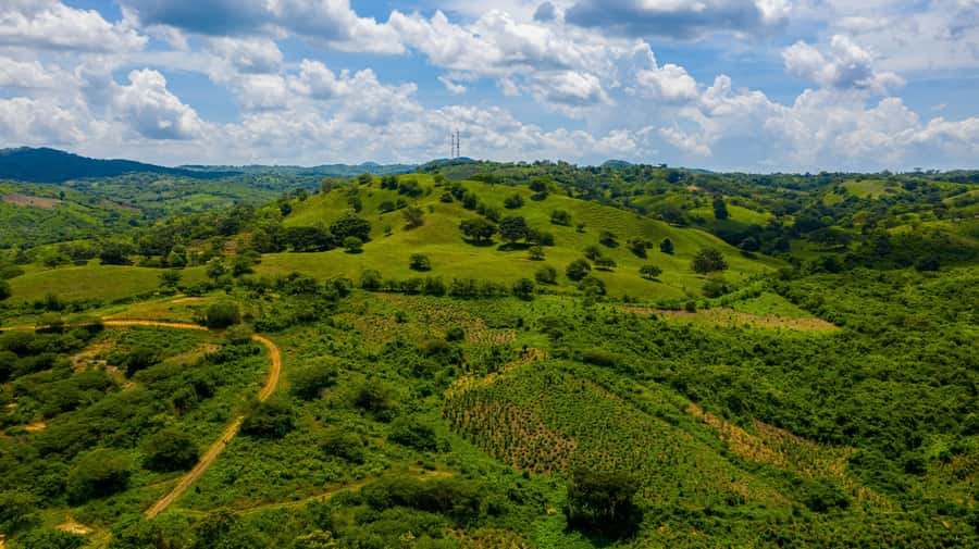 Scenic Horseback Ride in Tropical Mountain Reserve - The UTV adds a different view of the reserve