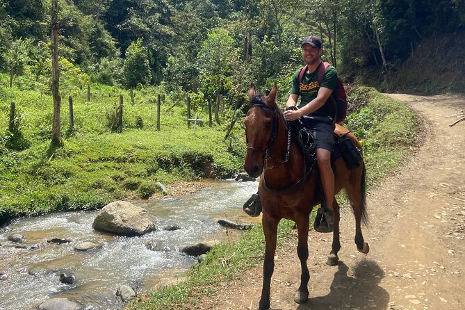 Scenic Horseback Riding in the Medellín Mountains - Why the $66.60 price can make sense
