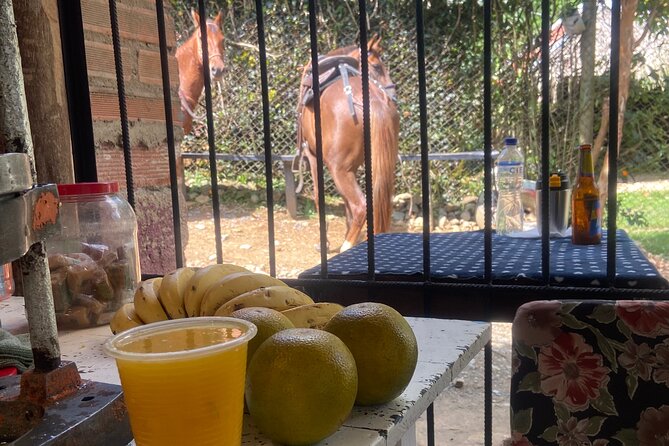 Scenic Horseback Riding in the Medellín Mountains - Safety, comfort, and practical limits