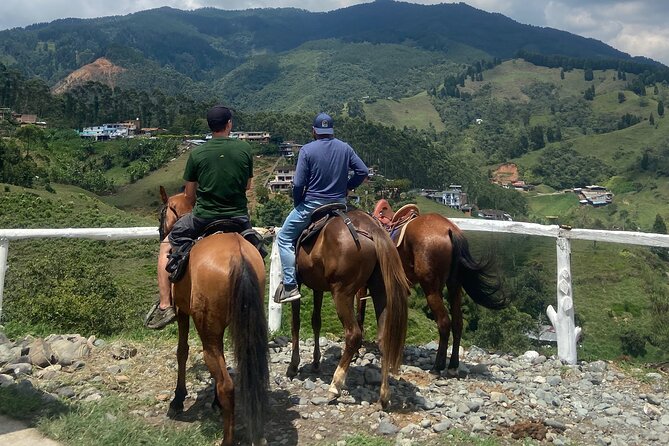 Scenic Horseback Riding in the Medellín Mountains - Should you book Colombian Horses?