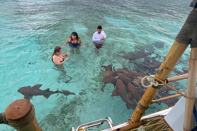 Shark & Ray Afternoon Swim Tiki Bar Cruise - A 1:00 p.m. departure from The Split