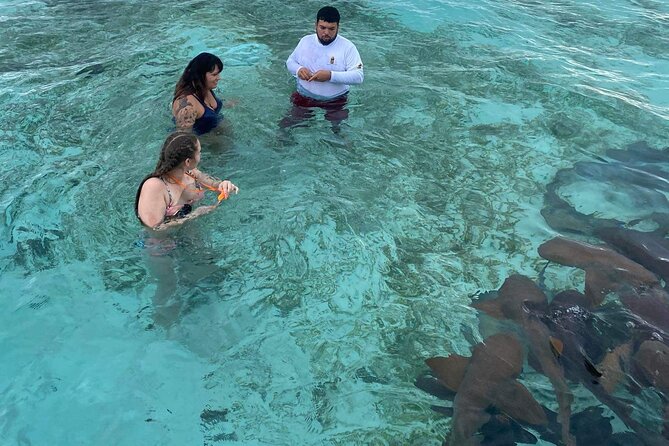 Shark & Ray Afternoon Swim Tiki Bar Cruise - Elder, local stories, and a calm crew