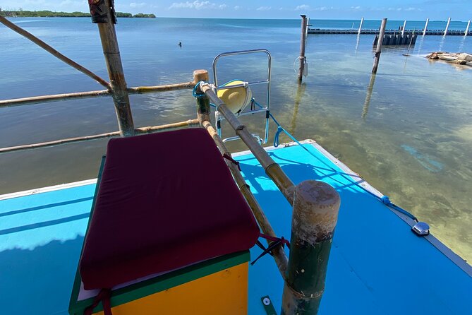 Shark & Ray Afternoon Swim Tiki Bar Cruise - What the water encounter is like