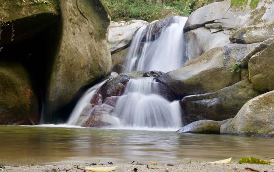 Sierra Minca Day Tour - From Santa Marta to the Sierra Nevada