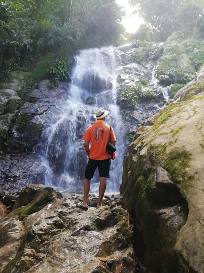 Sierra Minca Day Tour - Sierra Minca: hammocks, hands, and a high mountain pause