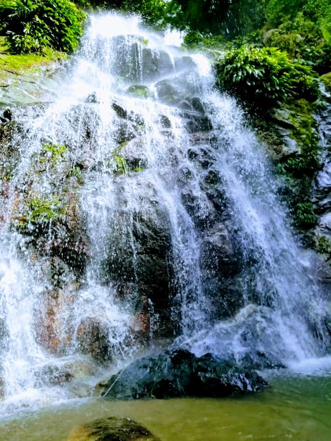 Sierra Minca Day Tour - What lunch and the included extras mean at $90