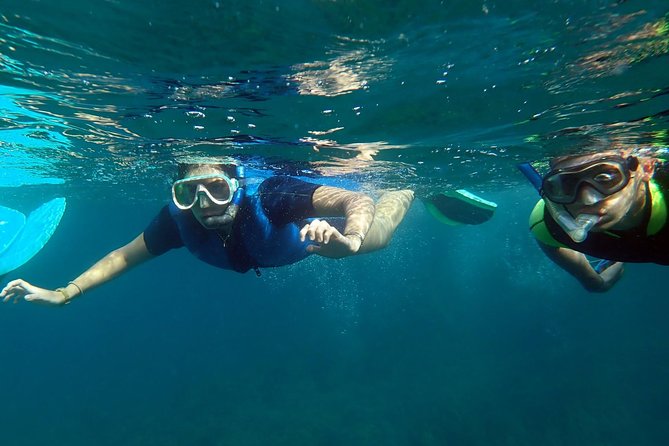 Snorkeling excursion in Isla de Tabarca - The equipment can make or break the morning
