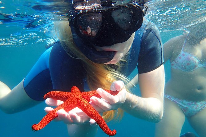 Snorkeling excursion in Isla de Tabarca - Guides and the English-language question