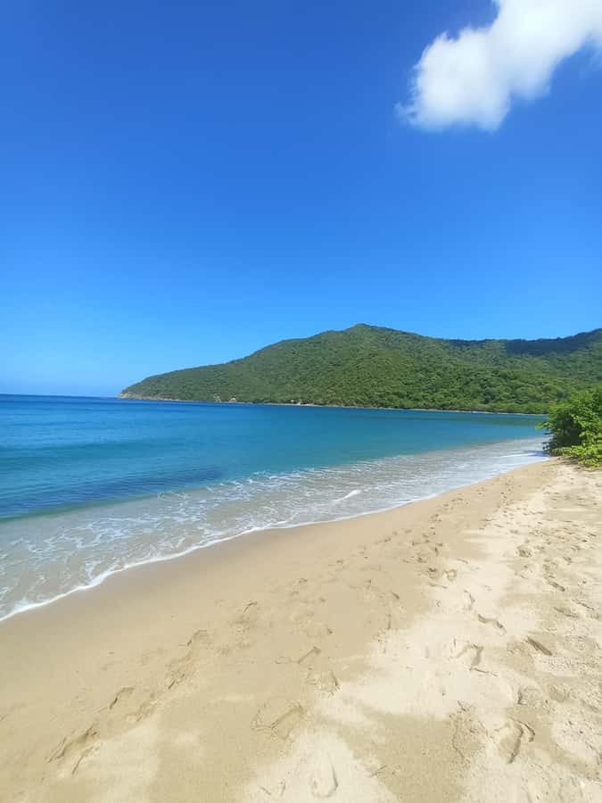 SPEEDBOAT TOUR TO TAYRONA CRISTAL BEACH - Key points to know before booking