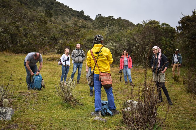 Sumapaz Páramo Private Hike Tour - Water wells, mist, and unusual plant life