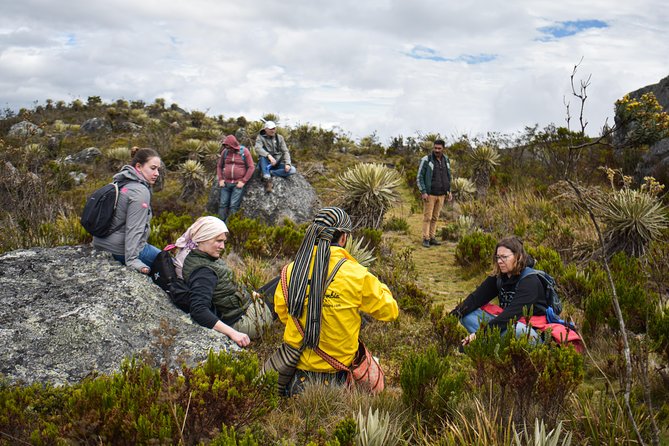 Sumapaz Páramo Private Hike Tour - Walking through the world’s largest páramo