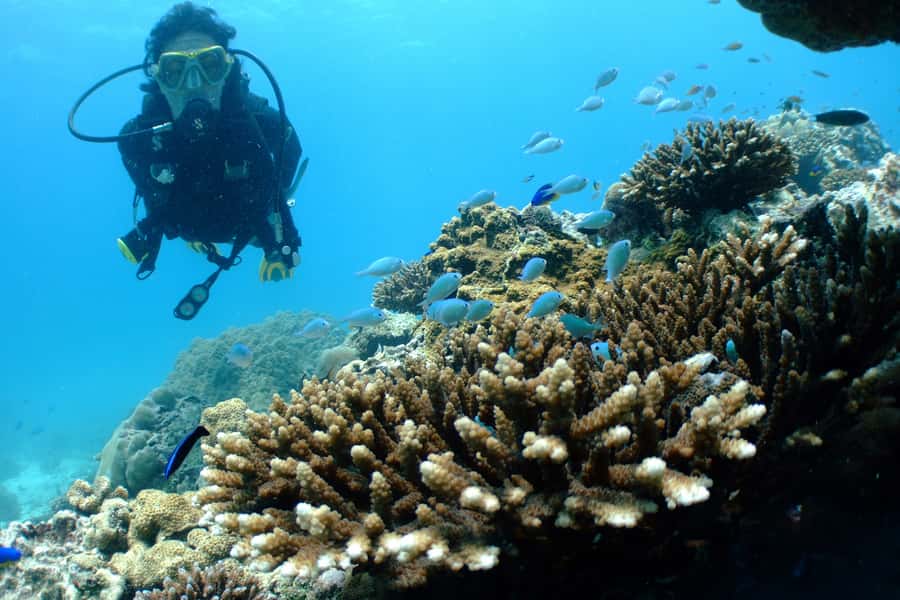 Tayrona National Park: Scuba Diving Tour for Beginners - Why the four-person group matters