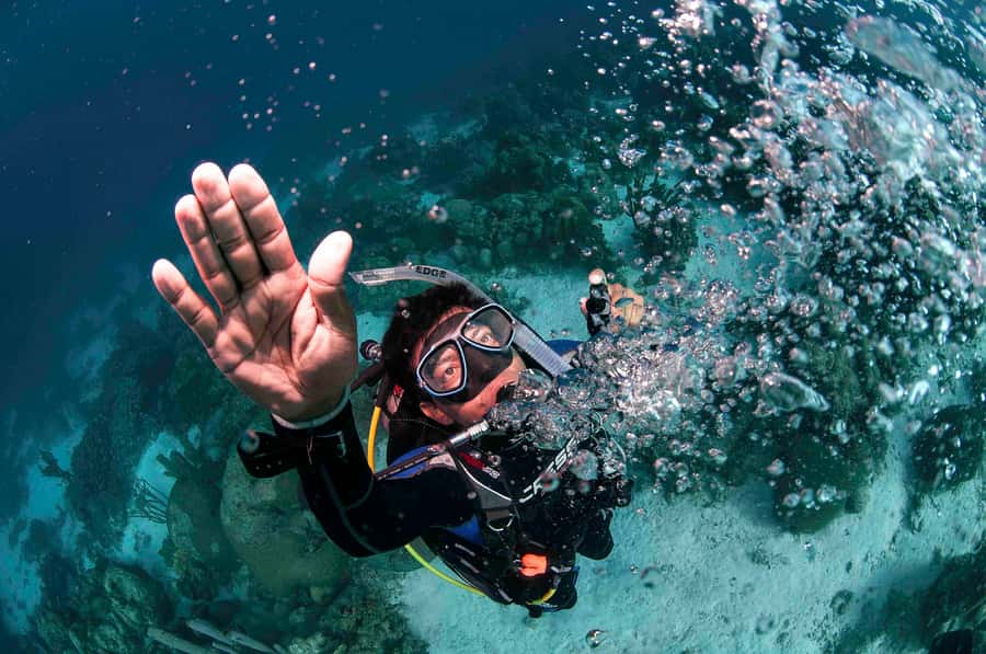 Tayrona National Park: Scuba Diving Tour for Beginners - The value of the $138 price