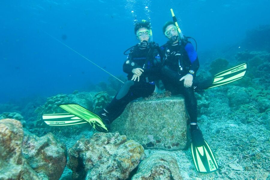 Tayrona National Park: Scuba Diving Tour for Beginners - What the strongest feedback tells you